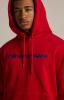 Pánská mikina COREHOODY