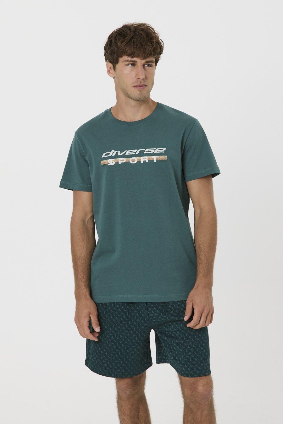 Diverse Tričko pánské ORLG CRACK 262