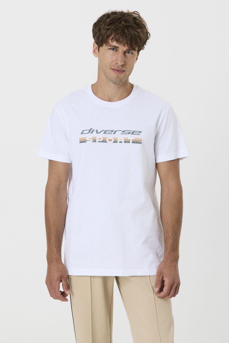 Diverse Tričko pánské ORLG CRACK 262