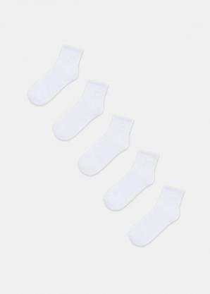 Ponožky pánské DASI 5P