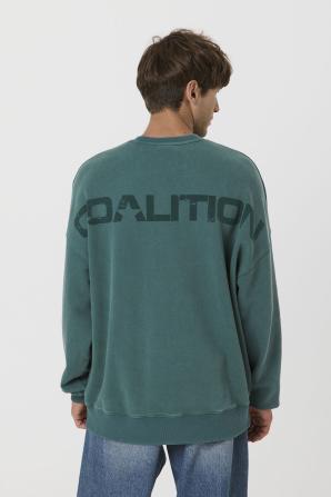 Pánská mikina CLTN SK8 C